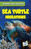 Sea Turtle Migrations: (Incredible Animal Migrations)