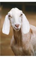 Goat Checking You Out Journal: 150 page lined notebook/diary