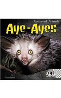 Aye-Ayes