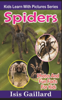Spiders