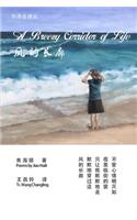 Breezy Corridor of Life