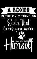 A Boxer is the only thing on earth that loves you more