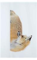 Red Fox Looking Back in the White Snow Journal: Take Notes, Write Down Memories in this 150 Page Lined Journal