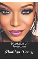 Dissection of Protection
