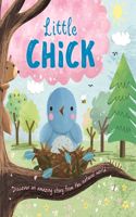 Nature Stories: Little Chick-Discover an Amazing Story from the Natural World