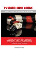 Pueblan Milk Snake