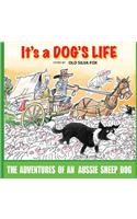 It's A Dog's Life