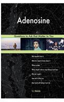 Adenosine 568 Questions to Ask that Matter to You