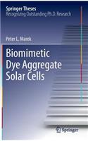 Biomimetic Dye Aggregate Solar Cells