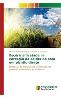 Escória silicatada na correção da acidez do solo em plantio direto