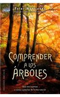 Comprender a Los Arboles