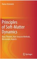 Principles of Soft-Matter Dynamics