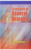 Essentials Of General Anatomy