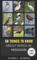 50 Things to Know About Birds in Missouri