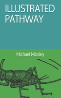 Illustrated Pathway