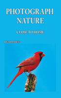 Photograph Nature