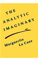 The Analytic Imaginary