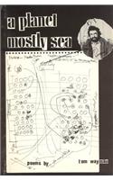 Planet Mostly Sea