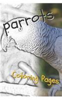 Parrot Coloring Pages: Beautiful Parrots Drawings for Kids and for Adults Relaxation