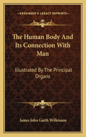 The Human Body And Its Connection With Man