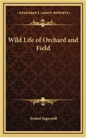 Wild Life of Orchard and Field