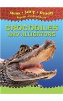 Crocodiles and Alligators