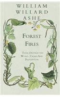 Forest Fires - Their Destructive Work, Causes And Prevention
