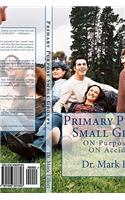Primary Purpose Small Groups: On Purpose, Not on Accident!(English)