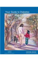 Your Guide to Diabetes