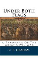 Under Both Flags: A Panorama of the Great Civil War
