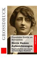 Herrn Dames Aufzeichnungen (Großdruck)