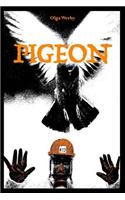 Pigeon