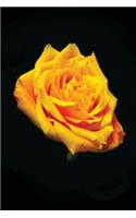 Yellow Rose Journal