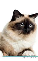 Birman Cat Affirmations Workbook Birman Cat Presents: Positive and Loving Affirmations Workbook. Includes: Mentoring Questions, Guidance, Supporting You.
