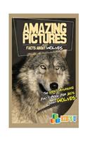 Amazing Pictures and Facts about Wolves