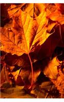 Journal Fall Leaves Ground: (Notebook, Diary, Blank Book)