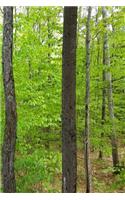 Journal Springtime Forest: (Notebook, Diary, Blank Book)(Nature Photo Journals Notebooks Diaries)