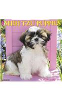 Just Shih Tzu Puppies 2019 Wall Calendar (Dog Breed Calendar)