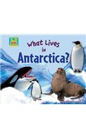 What Lives in Antarctica?
