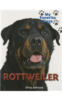 Rottweiler