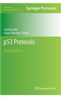 p53 Protocols