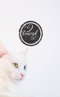 2 tausend 20: Kalender 2020 für Männer - Jahresplaner - Organizer - Din A5 - Design Katze weiß