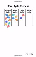 The Agile Process