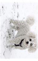 Bichon Frise Dog with a Face Full of Snow Journal: Take Notes, Write Down Memories in this 150 Page Lined Journal