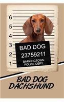 Bad Dog Dachshund: Handwriting Practice Paper for Kids Notebook with Dotted Lined Sheets for K-3 Students Featuring 120 Pages 6x9