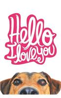 Hello I Love You