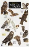 Guide to British Owls and Owl Pellets