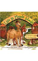 Life in Maple Woods
