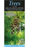 Trees of the Mid-Atlantic States