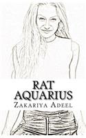 Rat Aquarius: The Combined Astrology Series